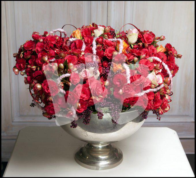 bloemen en planten vvbvanbree     1155